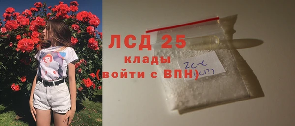 сатива Лабытнанги