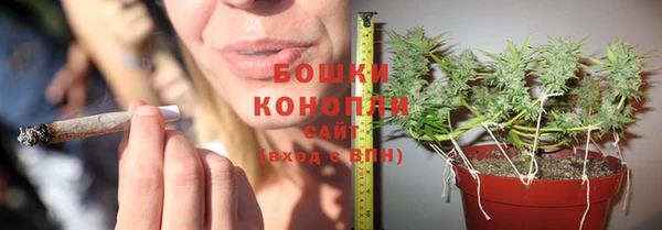 круглые Вяземский