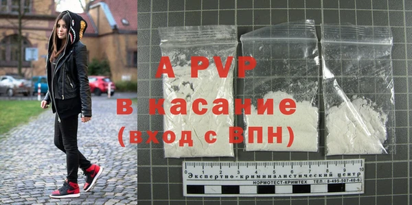 индика Козловка