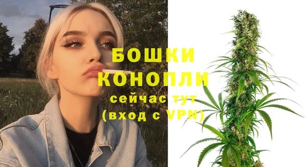 сатива Лабытнанги