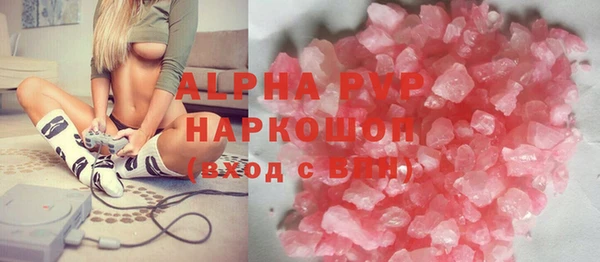 сатива Лабытнанги